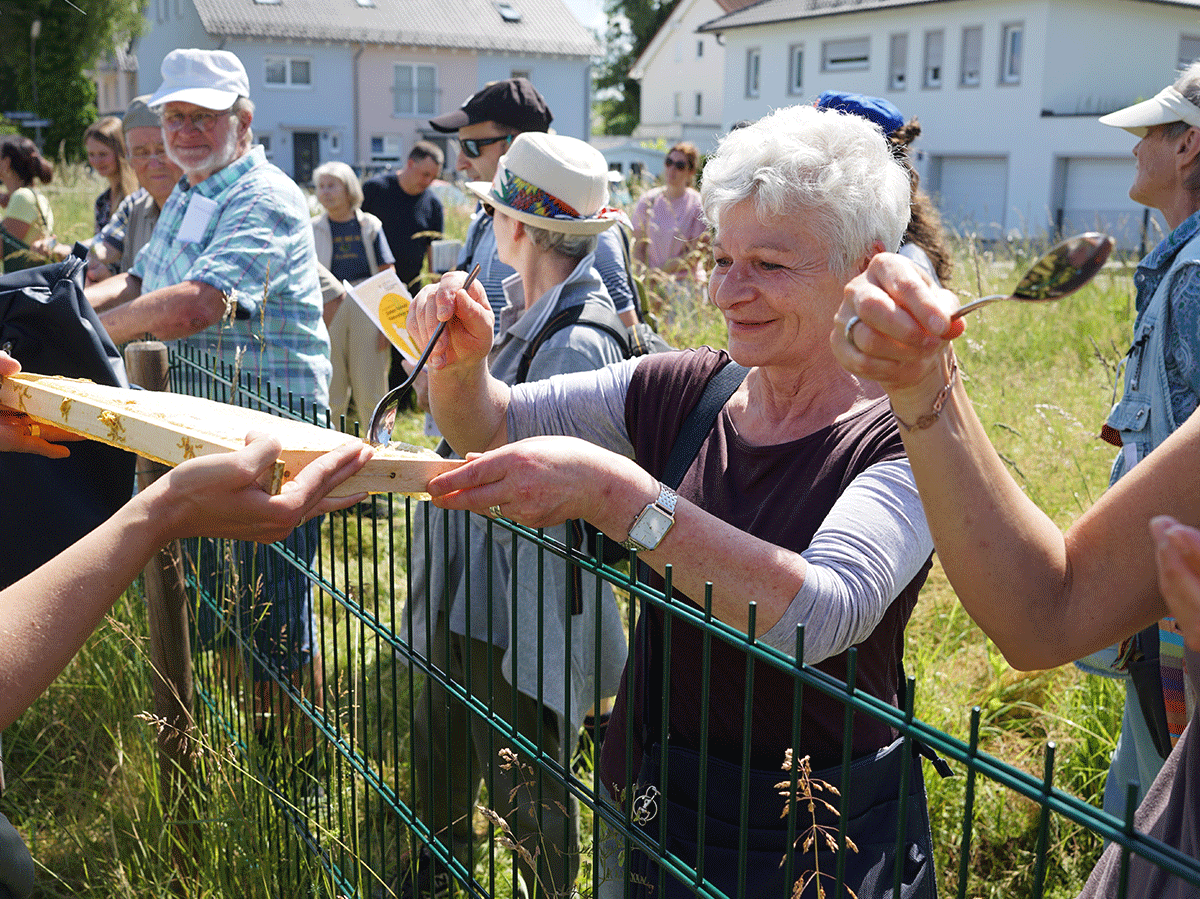 Besuch eines lokalen Imkers mit Bienenvortrag